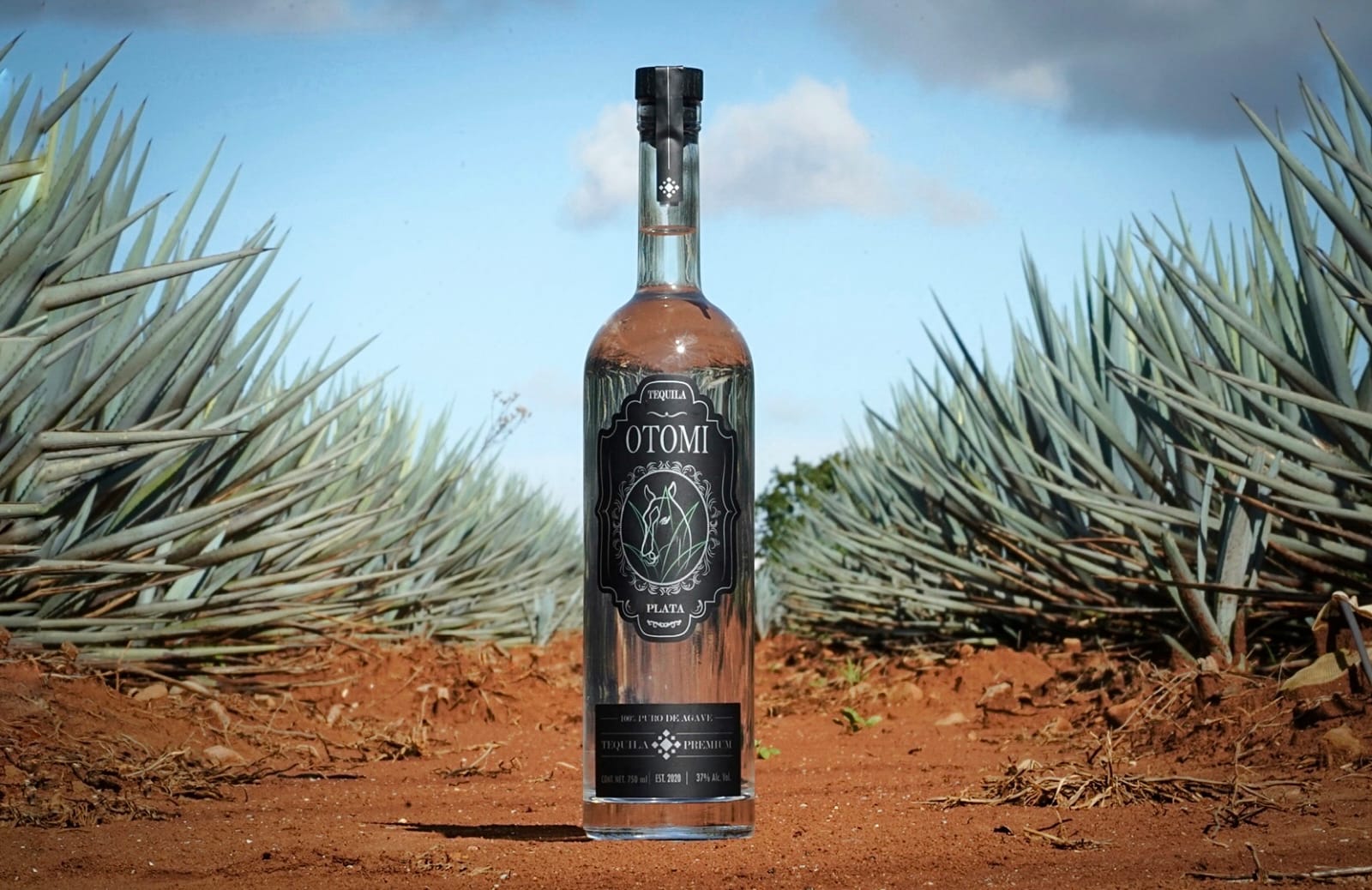 Tequila Otomí