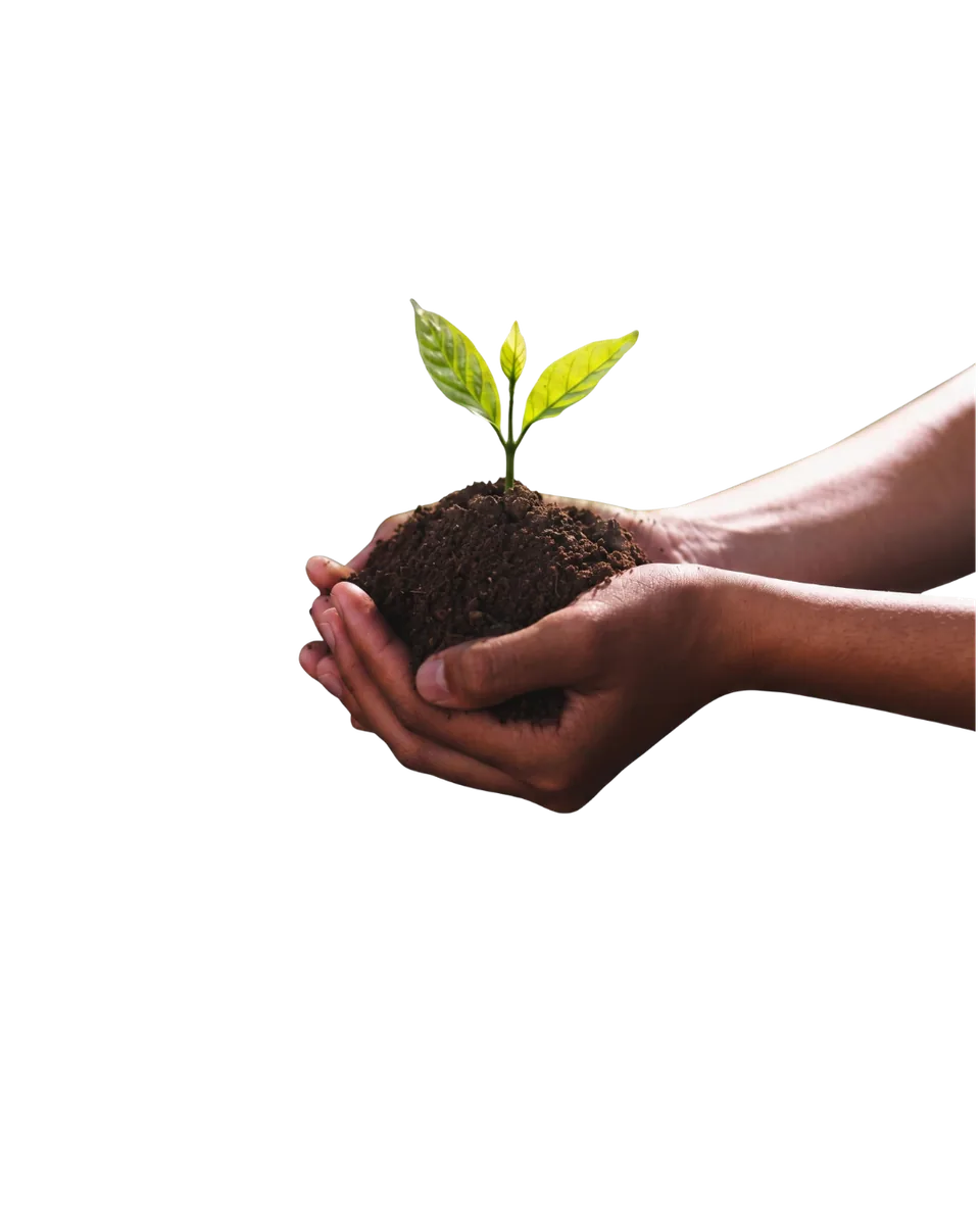Programa de conservación de flora y fauna