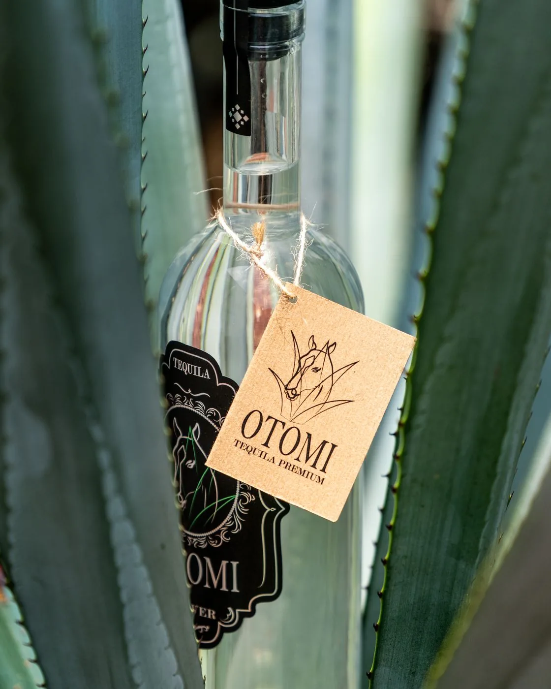 Tequila Otomí