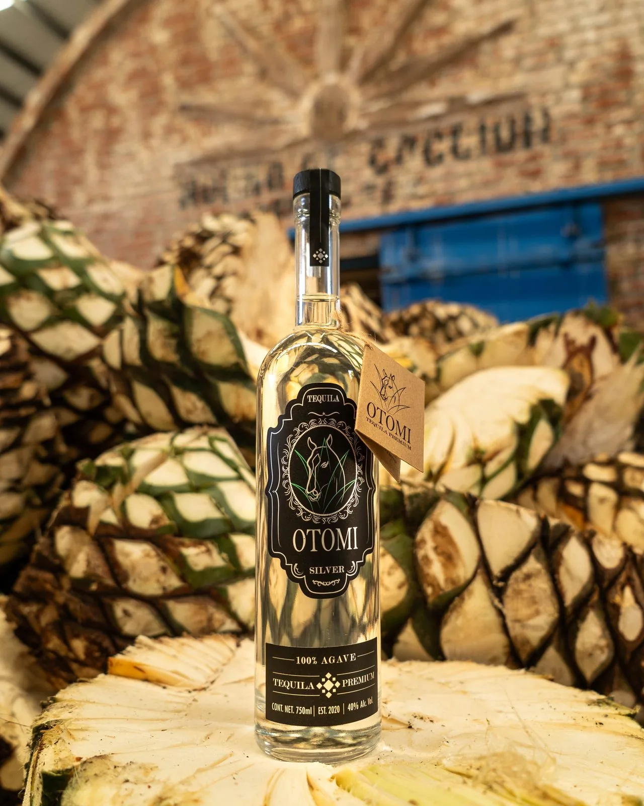 Tequila Otomí