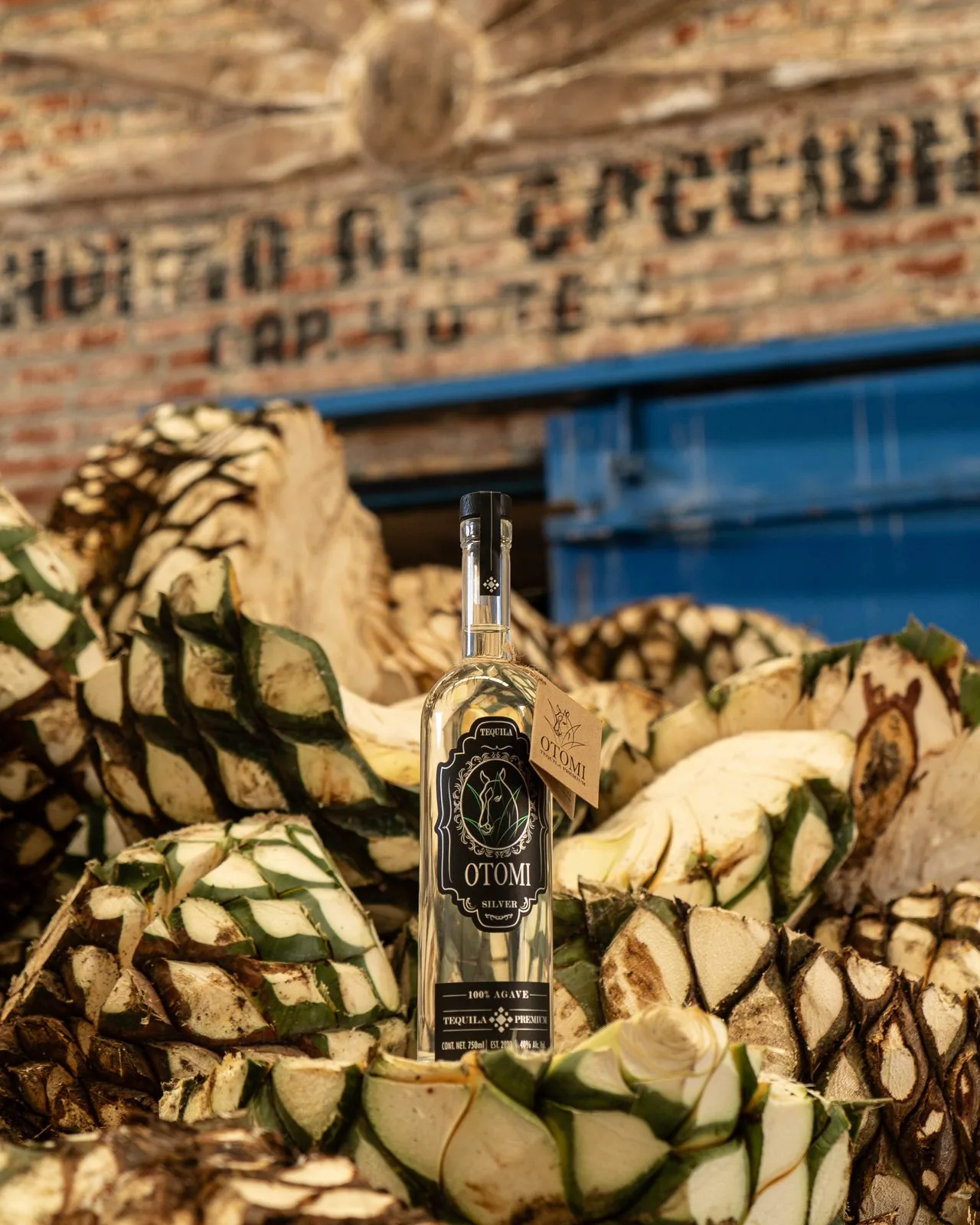 Tequila Otomí
