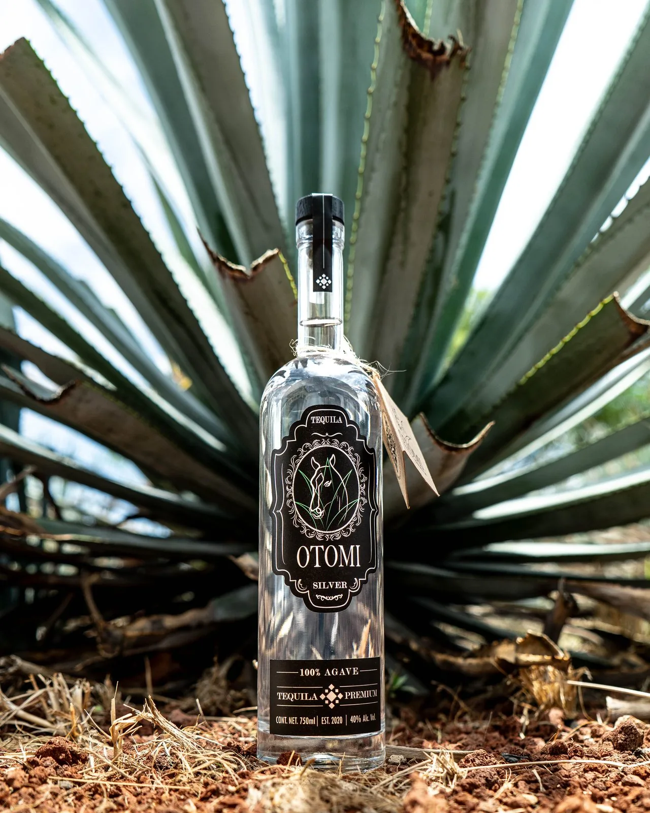 Tequila Otomí
