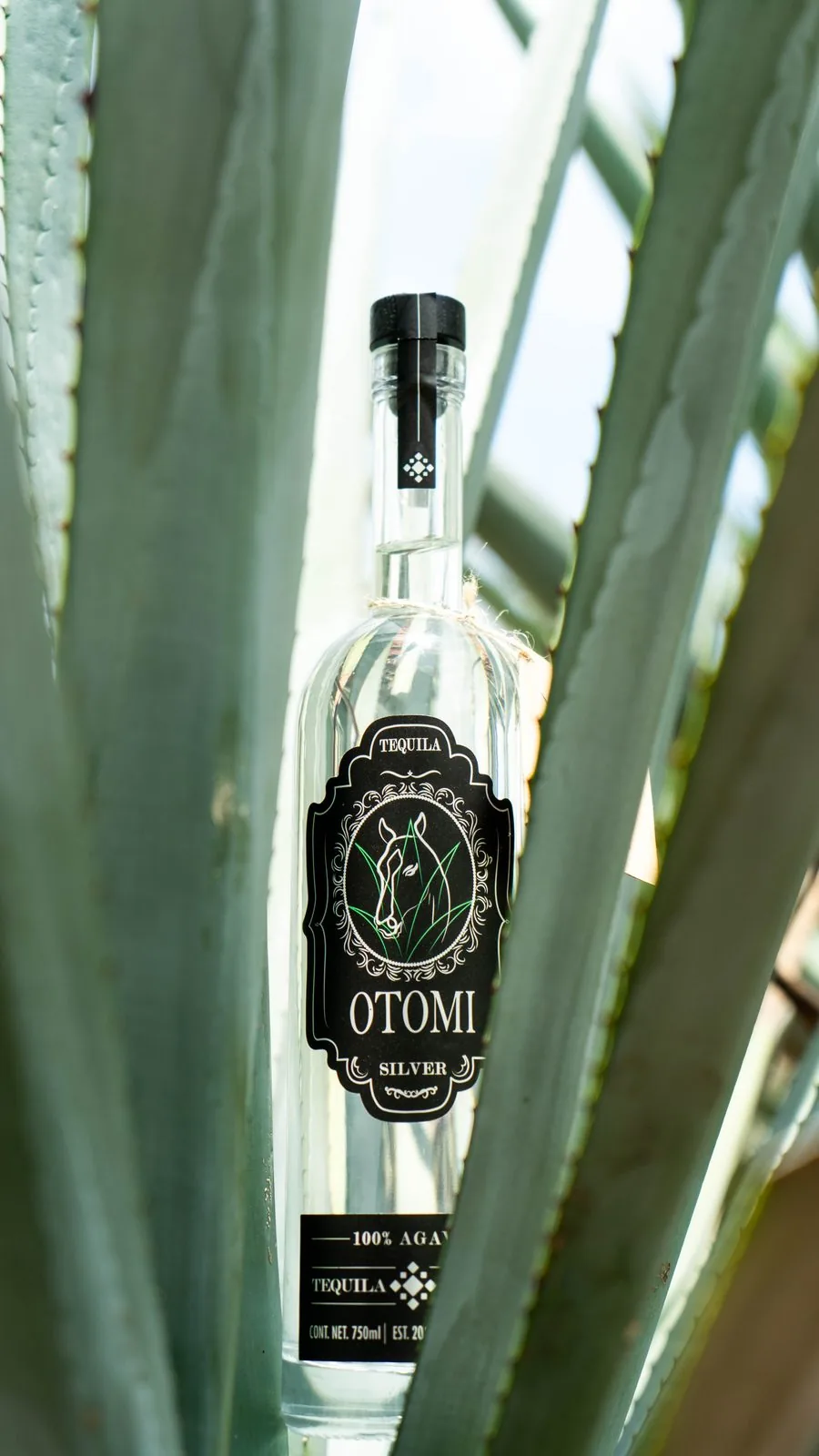 Tequila Otomí