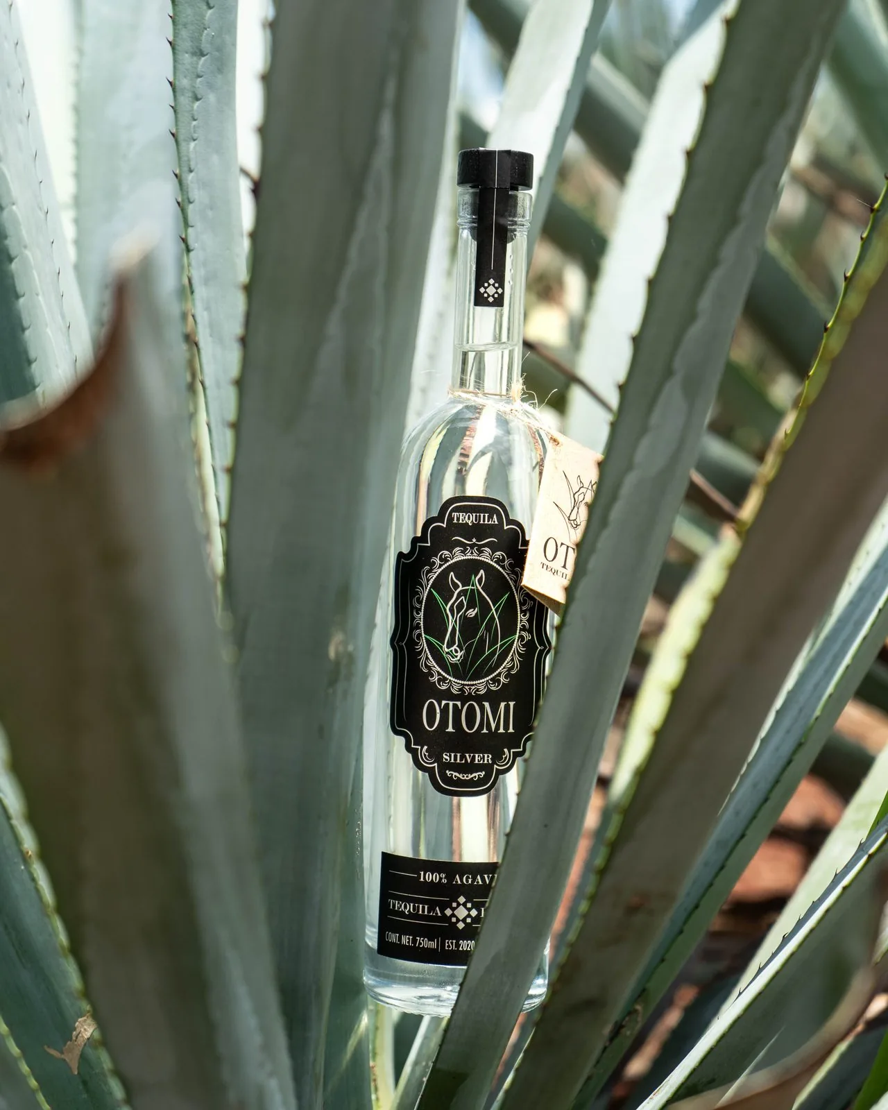 Tequila Otomí