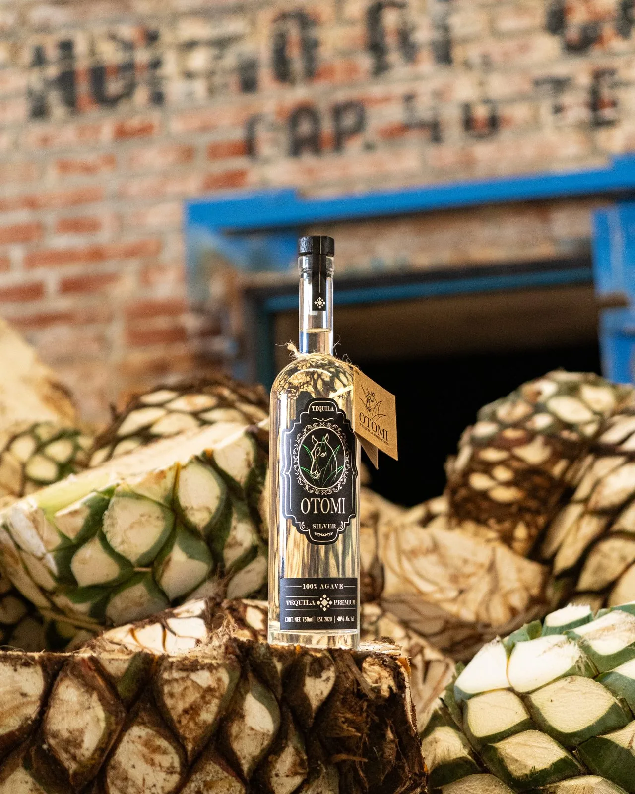 Tequila Otomí