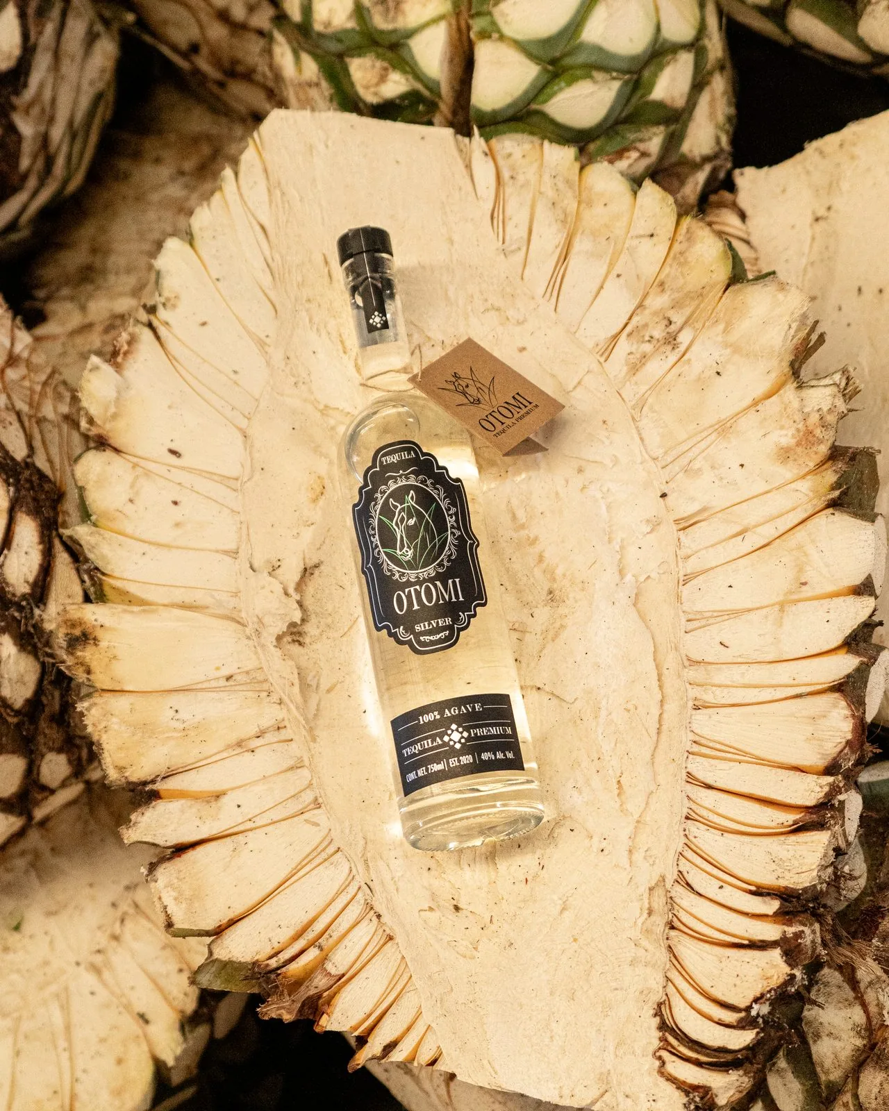 Tequila Otomí