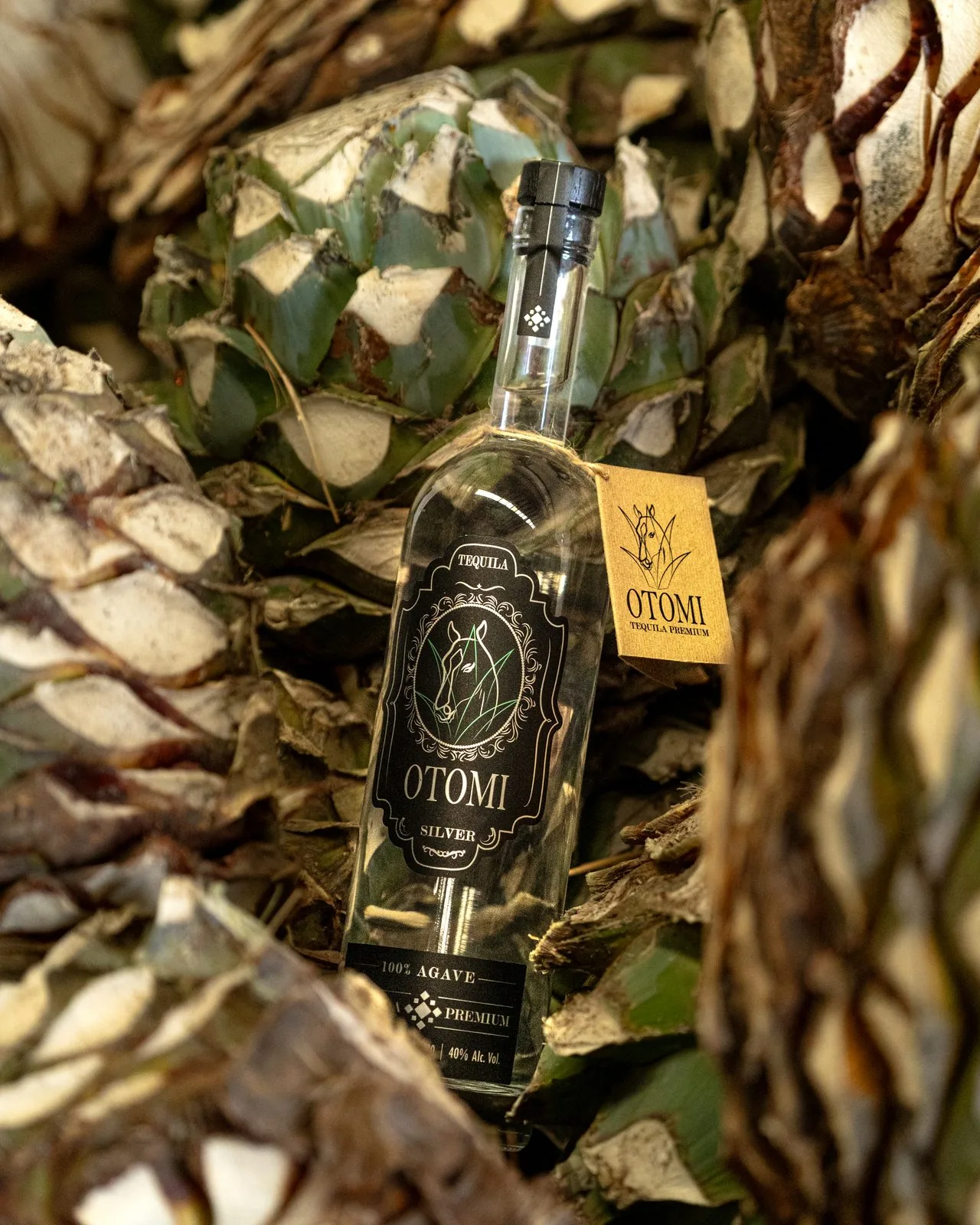 Tequila Otomí