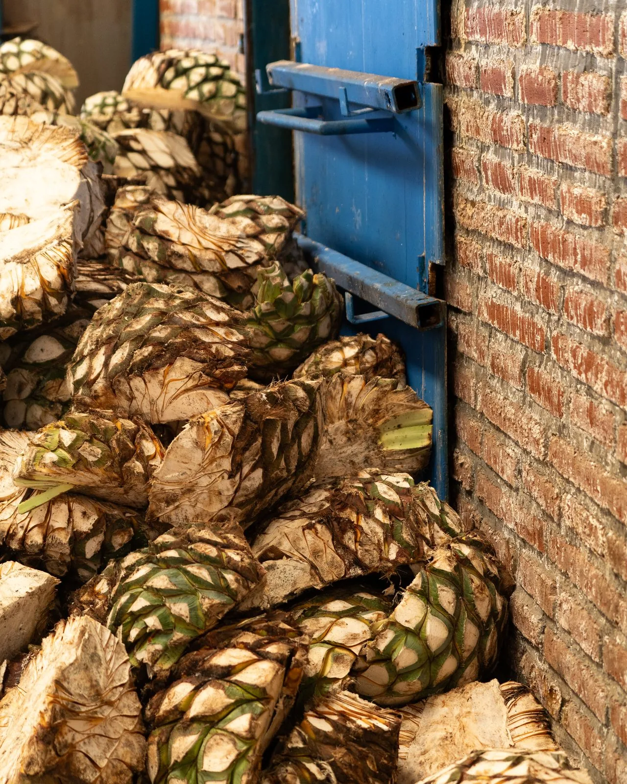 Tequila Otomí