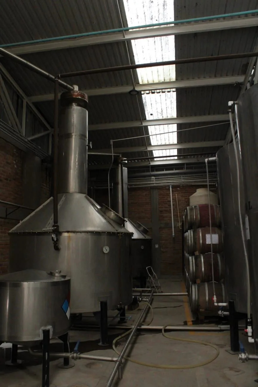 Tequila Otomí