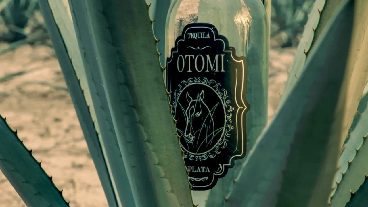 Tequila Otomí