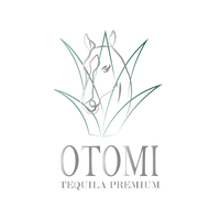 Otomi Web